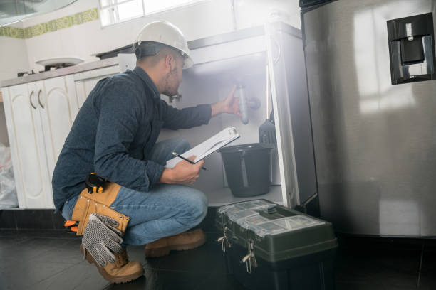 Best Same-Day Plumbing Service  in Fellsmere, FL