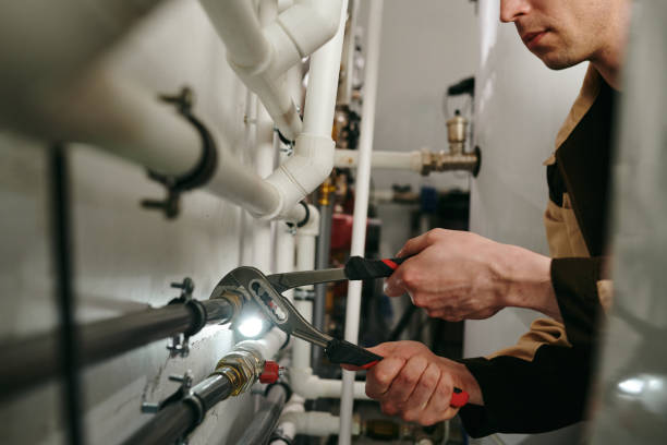 Best Plumbing Inspection Services  in Fellsmere, FL