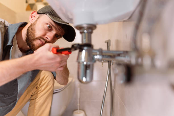 Best Sprinkler Systems  in Fellsmere, FL