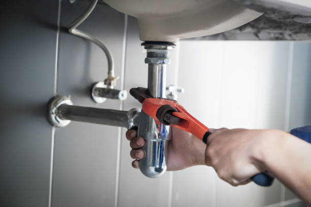 Best Affordable Plumbing Services  in Fellsmere, FL