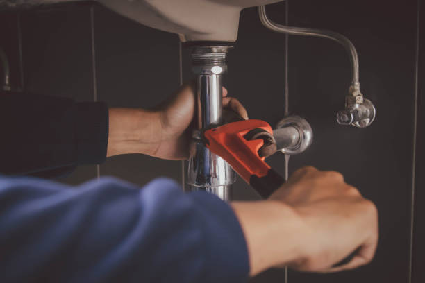 Best Best Plumbers Near Me  in Fellsmere, FL