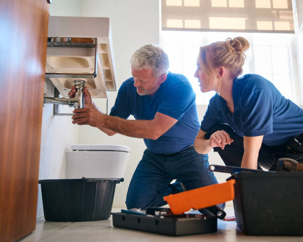 Best Residential Plumbing Services  in Fellsmere, FL